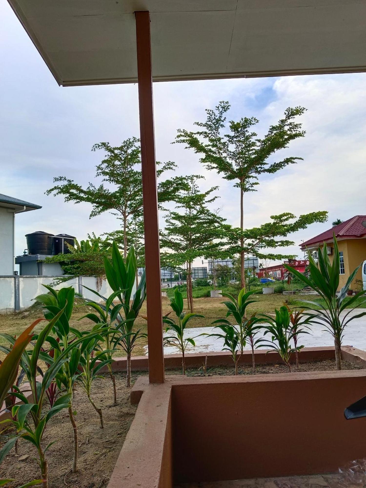 Alfa Roomstay Pantai Cenang  Exterior photo